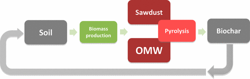 Olive mill wastewater transformed: From pollutant to bio-fertilizer, biofuel