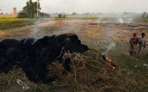 On Delhi's outskirts farmers are busy burning crop residue to clear their land before the new harvest and the acrid smoke has al