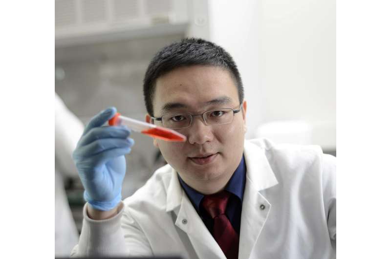 On target: UNC researcher arms platelets to deliver cancer immunotherapy