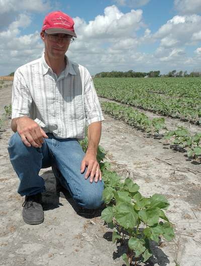 Options discussed for farmers battling cotton root rot