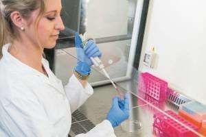 Organs on microchips for safe drug testing