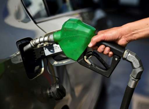 Over 13 years, consumption of gasoline rose in countries that lowered taxes or raised subsidies