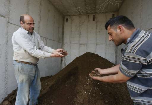 Palestinian Kamal al-Jebrini (L) holds a handful of cow dung at the Jebrini dairy farm in the West Bank town of Hebron, where ma