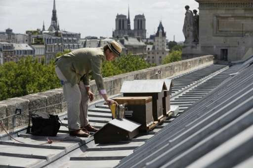 Paris today boasts more than 700 beehives, according to 2015 figures, most located on rooftops such as those of the haute cuisin