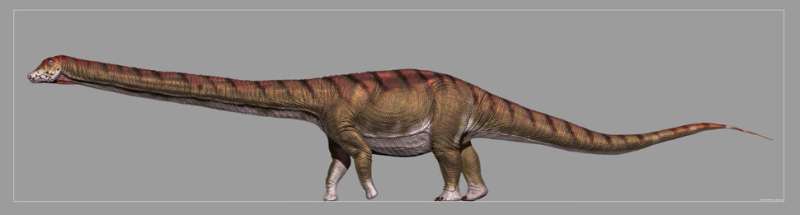 Patagotitan mayorum: New study describes the biggest dinosaur ever