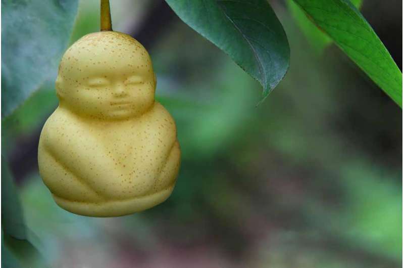 Pay $8 for a Buddha-shaped pear foolish or fun? Your age may predict your answer