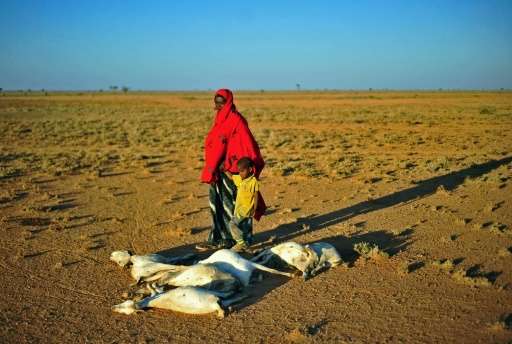 People pass dead goats near Dhahar in Puntland, northeastern Somalia, in December 2016