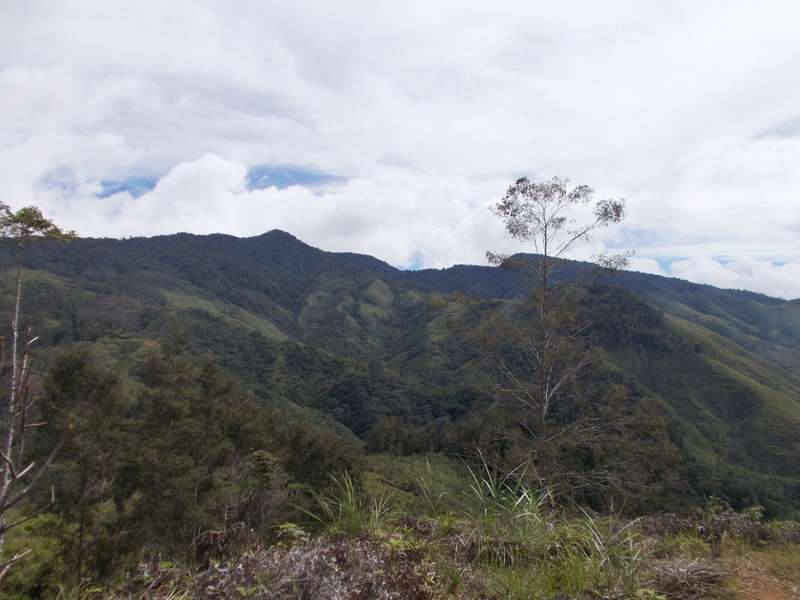 Persistent tropical foraging in the highlands of terminal Pleistocene/Holocene New Guinea