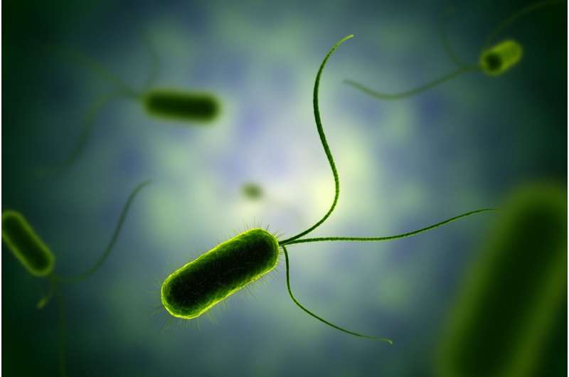 Personality and mood swings in bacteria
