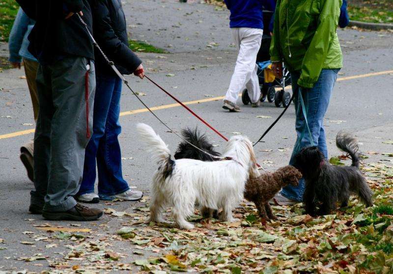 Pets strengthen neighbourhood ties