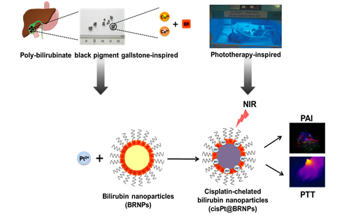 Photoacoustic imaging and photothermal cancer therapy using BR nanoparticles