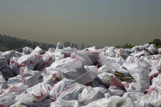 Piles of garbage are pictured in a forest area overlooking the Lebanese town of Bsalim, northeast of the capital Beirut in 2016