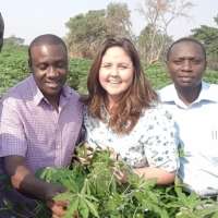 Portable DNA sequencers help African farmers fight crop disease