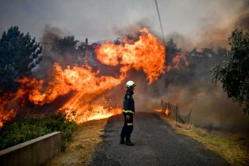 Portugal reported a sharp rise in the destruction wrought by forest fires so far this year compared with figures for the past de