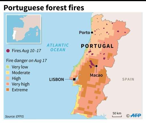 Portuguese forest fires
