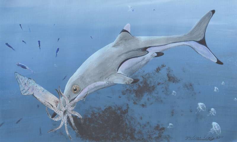 Prehistoric squid was last meal of newborn ichthyosaur 200 million years ago