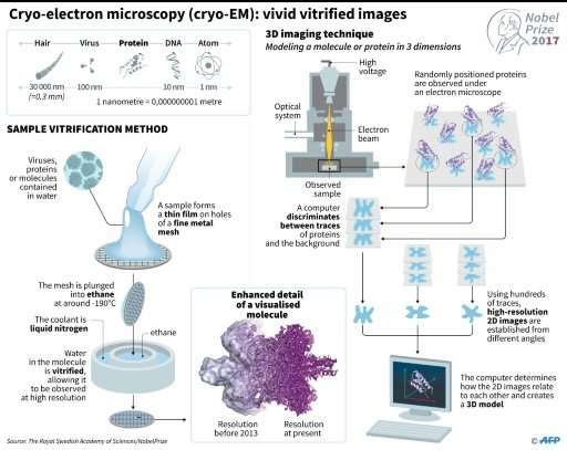 Presentation of the &quot;cool method&quot; of cryo-electron microscopy (cryo-EM)