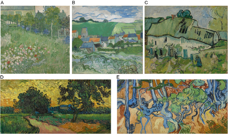 Prior knowledge may influence how adults view van Goghs
