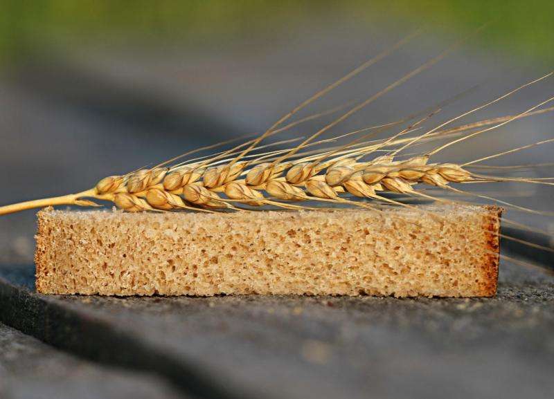 Producing a better wheat crop to feed the world—single to multiple wheat genomics