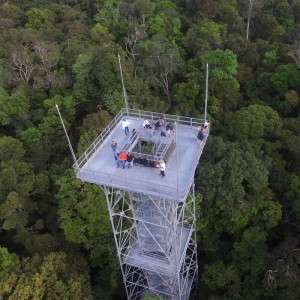 Project uses drones to monitor the health of the Amazon