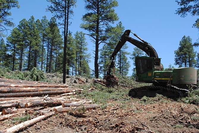 Proposed Forest Thinning Will Sabotage Natural Forest Climate Adaptation and Resistance to Drought, Fire, and Insect Outbreaks