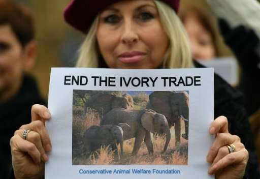 Protestors demonstrate in London against the ivory trade on February 6, 2017