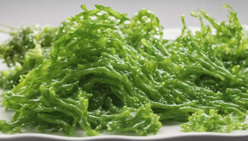 Putting algae and seaweed on the menu could save our seafood
