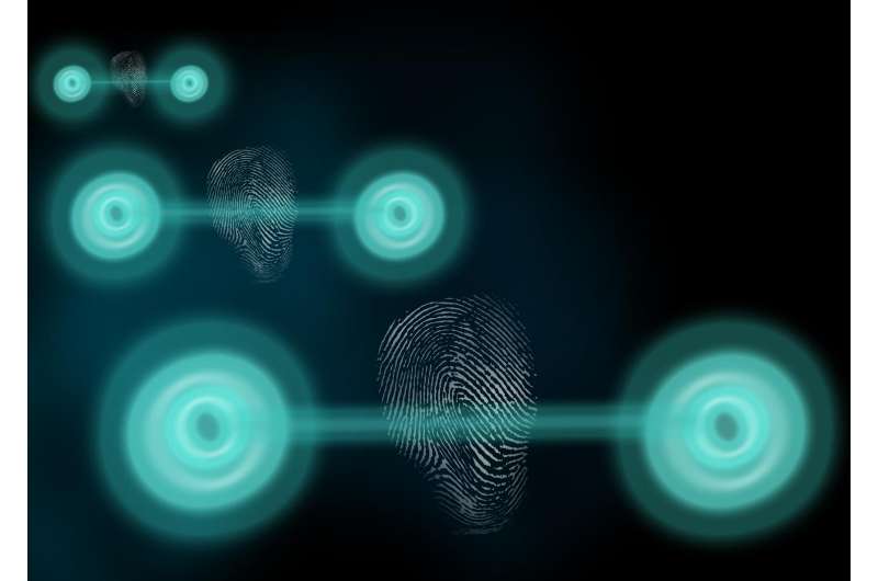 Quantum states reveal themselves with measurable 'fingerprint'