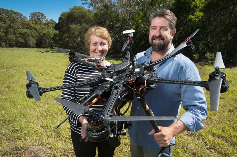 QUT to use drones to find and protect koalas