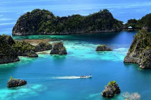 Raja Ampat—which means Four Kings in Indonesian —- is made up of 1,500 islands and is home to about 1,400 varieties of fish and 