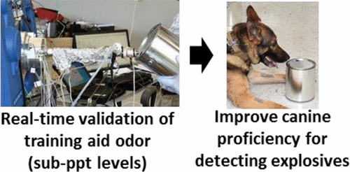 Real-time vapor analysis could improve training of explosive-detecting dogs