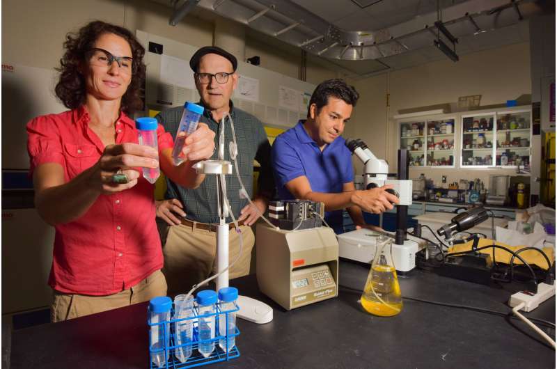 Reducing power plants' freshwater consumption with Sandia's new silica filter