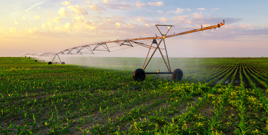 Reducing water use in agriculture