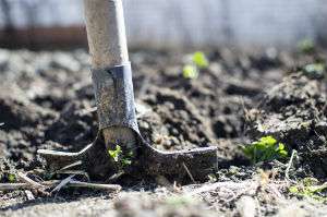 Report outlines how climate change will affect gardeners