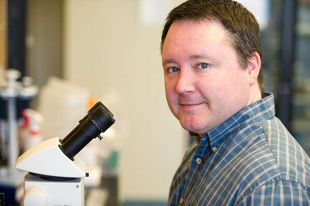 Research at MDI Biological Laboratory sheds light on mechanisms underlying aging