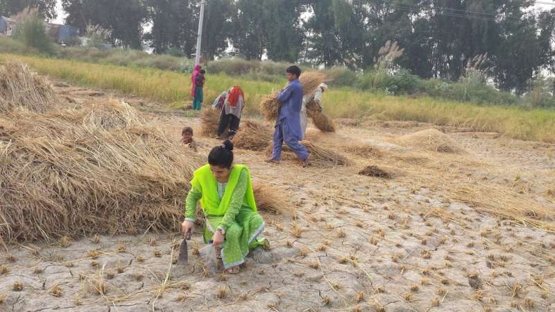 Residents of major Pakistan city are exposed to harmful pesticides
