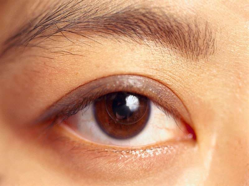 Retinal sensitivity linked to cognitive status in T2DM