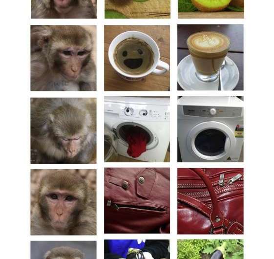 Rhesus monkeys found to see faces in inanimate objects too