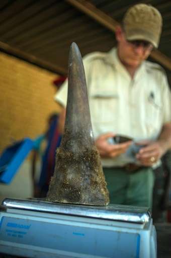 Rhino horns are consumed in some Asian countries for their supposed health concerns, fetching a higher price on the black market