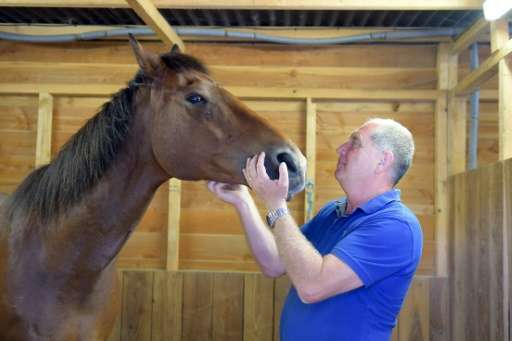 Roland Phillips, a former Scotland Yard officer who now cares for 22 retired police horses in France's Dordogne, grew up at a sa