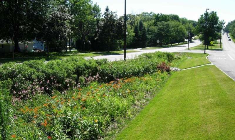 Save stormwater at home with a veggie raingarden