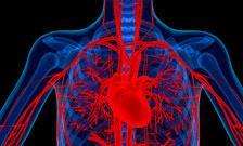 扫描可以替代侵入性程序评估心脏病患者,新的研究发现