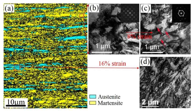 Science publishes Super Steel breakthrough developed by HKU-led Beijing-HK-Taiwan team at low cost
