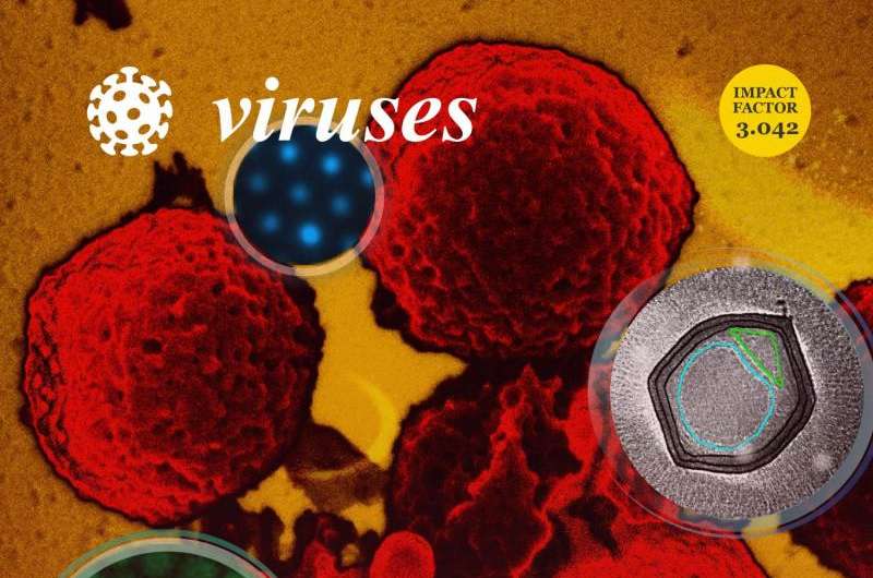 Scientist maps giant virus