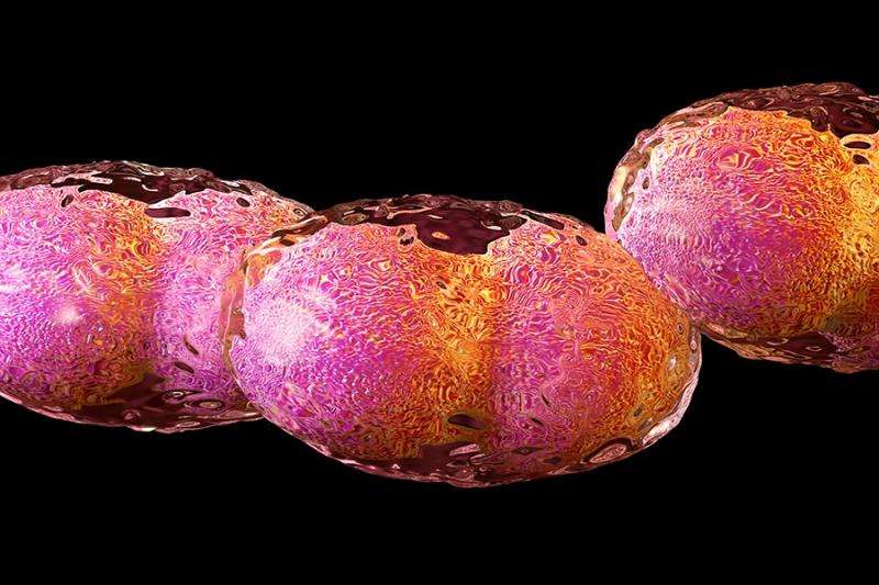 Scientists bring back extinct horsepox virus in lab, raising important biosecurity questions