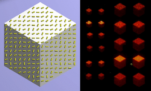 Scientists manipulate light to make flat surfaces appear as 3-D objects