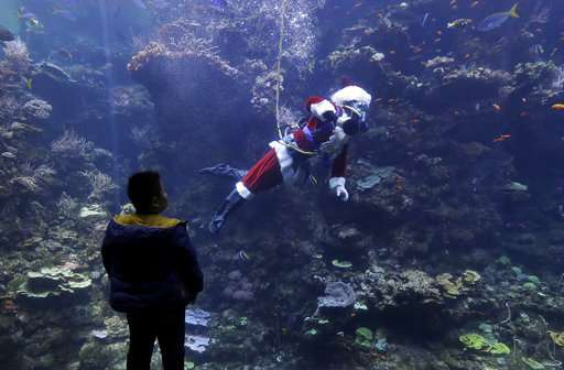 Scuba-diving Santa Claus delights children in San Francisco
