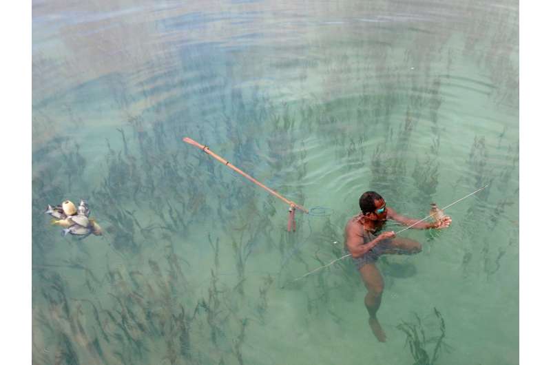 Seagrass is a key fishing ground globally