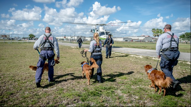 Search and rescue dogs do their jobs despite travel stress