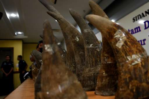 Seized rhino horns displayed at a press conference in Malaysia last year.